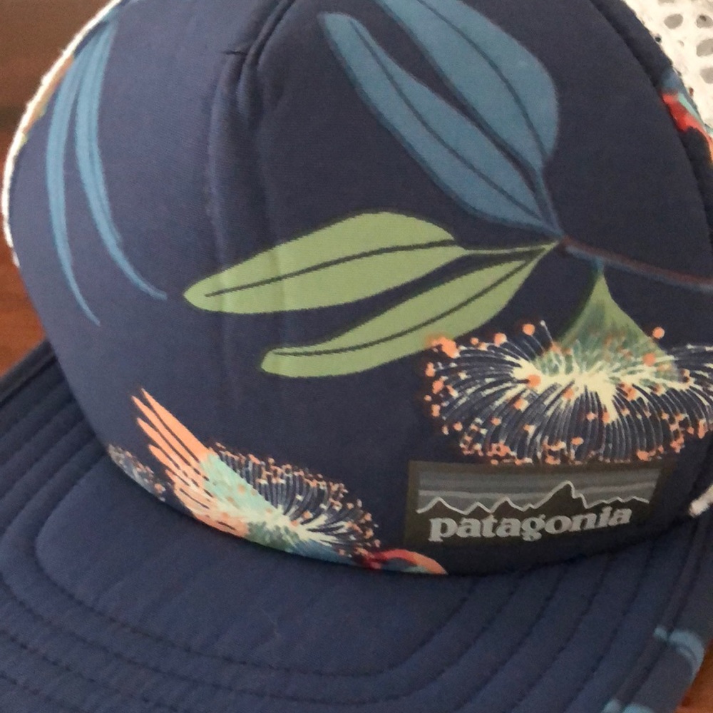 Patagonia Duckbill Trucker Hat